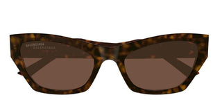 Balenciaga Bb0447s Women Havana Cat Eye Sunglasses