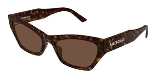 Balenciaga Bb0447s Women Havana Cat Eye Sunglasses