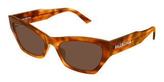 Balenciaga BB0447S women Havana Cat Eye Sunglasses