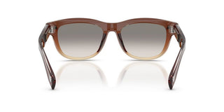 Brunello Cucinelli BC 3016S men Brown Pantos Sunglasses