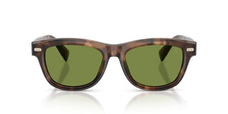 Brunello Cucinelli BC 3016S men Havana Pantos Sunglasses