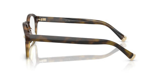 Brunello Cucinelli BC 4006 unisex Havana Pantos Eyeglasses