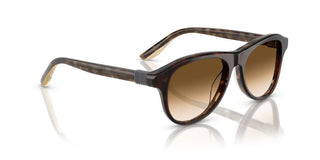 Brunello Cucinelli Bc 4015s Women Brown Pilot Sunglasses
