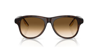 Brunello Cucinelli BC 4015S women Brown Pilot Sunglasses