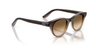 Brunello Cucinelli BC 4016S women Brown Pantos Sunglasses