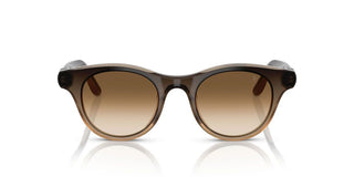 Brunello Cucinelli BC 4016S women Brown Pantos Sunglasses