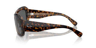 Ray-ban Beate Rb 2212 Unisex Havana Squared Sunglasses