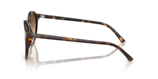 Ray-Ban BERNARD RB 2230 unisex Havana Pantos Sunglasses