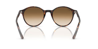 Ray-ban Bernard Rb 2230 Unisex Havana Pantos Sunglasses