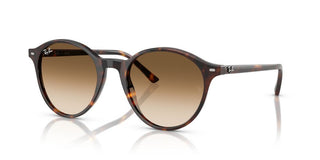 Ray-ban Bernard Rb 2230 Unisex Havana Pantos Sunglasses