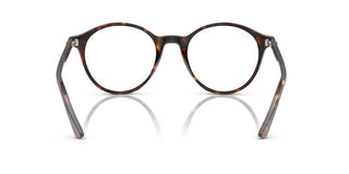 Ray-ban Bernard Rb 2230 Unisex Havana Pantos Sunglasses