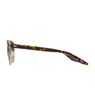 BARTON PERREIRA BECKFORD BP40114I unisex Havana Round Sunglasses