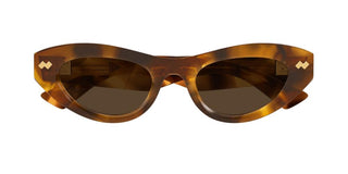 Bottega Veneta BV1350S women Havana Cat Eye Sunglasses