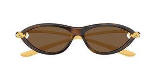 Bottega Veneta BV1390S women Havana Cat Eye Sunglasses