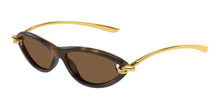 Bottega Veneta BV1390S women Havana Cat Eye Sunglasses