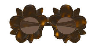 Bottega Veneta BV1399S unisex Havana Other Sunglasses