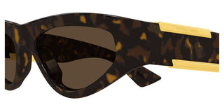 Bottega Veneta BV1407S women Havana Cat Eye Sunglasses