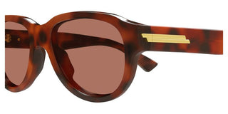 Bottega Veneta BV1410S men Havana Round Sunglasses