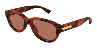 Bottega Veneta BV1410S men Havana Round Sunglasses