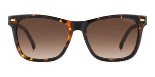 Carrera CARRERA 3001/S women Havana Squared Sunglasses