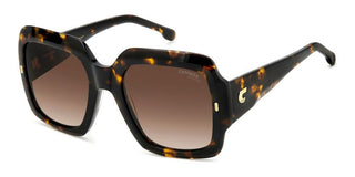 Carrera Carrera 3004/s Women Havana Squared Sunglasses