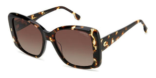 Carrera Carrera 3030/s Women Havana Squared Sunglasses