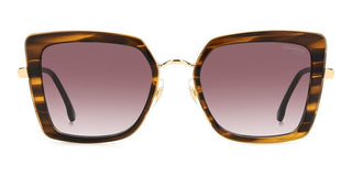 Carrera Carrera 3031/s Women Brown Butterfly Sunglasses