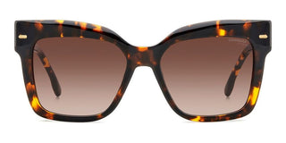 Carrera CARRERA 3037/S women Havana Geometric Sunglasses