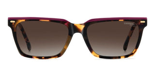 Carrera Carrera 3056/s Women Havana Rectangle Sunglasses
