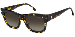 Carrera Carrera 3066/s Women Havana Geometric Sunglasses