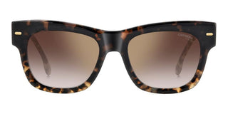 Carrera Carrera 3066/s Women Havana Geometric Sunglasses