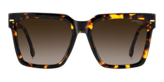 Carrera Carrera 3067/s Women Havana Rectangle Sunglasses