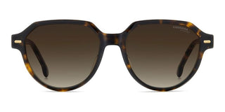 Carrera CARRERA 3068/S women Havana Round Sunglasses