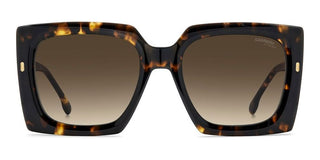 Carrera CARRERA 3072/S women Havana Squared Sunglasses