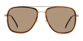 Carrera Carrera 3089/s Women Havana Squared Sunglasses
