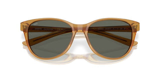 Costa Del Mar Catherine 06s2012 Women Brown Cat Eye Sunglasses