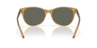 Costa Del Mar Catherine 06s2012 Women Brown Cat Eye Sunglasses