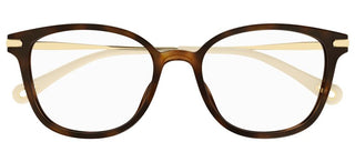 Chloé CH0219OA women Havana Cat Eye Eyeglasses