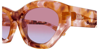 Chloé CH0220S women Havana Cat Eye Sunglasses