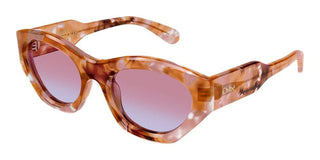 Chloé CH0220S women Havana Cat Eye Sunglasses