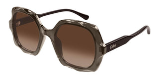 Chloé CH0226S women Brown Oversize Sunglasses