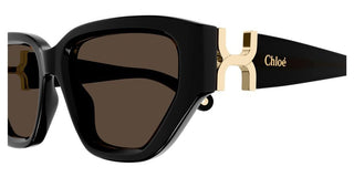 Chloé Ch0235s Women Havana Cat Eye Sunglasses