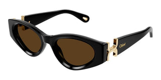 Chloé Ch0259s Women Black Cat Eye Sunglasses