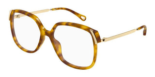 Chloé CH0287O women Havana Squared Eyeglasses