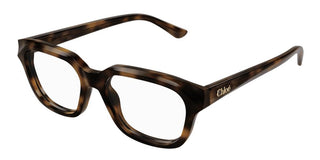 Chloé CH0292O women Havana Squared Eyeglasses