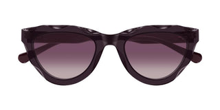 Chloé CH0294S women Violet Cat Eye Sunglasses
