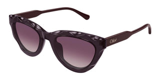 Chloé CH0294S women Violet Cat Eye Sunglasses