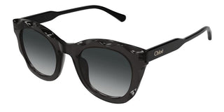 Chloé CH0295S women Black Round Sunglasses