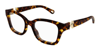 Chloé CH0305O women Havana Squared Eyeglasses