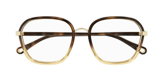 Chloé CH0309O women Havana Squared Eyeglasses